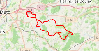 gravel Nono dernière