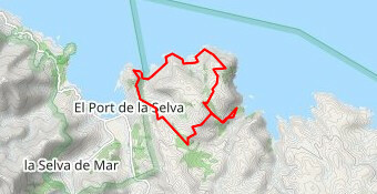 el port de la selva