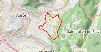Bois des chartreux depuis coublevie