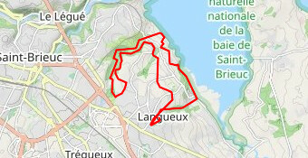 langueuxTrail corrida  version finale 