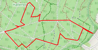 Bois de Hal - Hallerbos