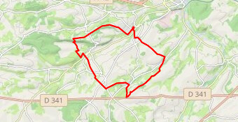 F62: Sentier des Bouillards par les Mts Bart et Ro