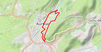 Aurillac pour Elles 2020 8km