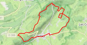 rando Gilley 19km