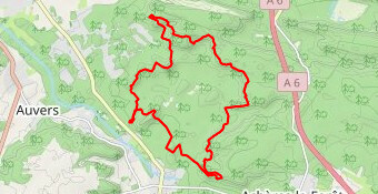 Fontainebleau Trois Pignons 25 Bosses 30-06-2013