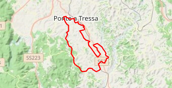 CS9 Francigena Gravel