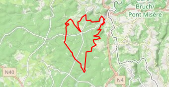Martelange foret d'anlier