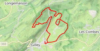 rando Gilley 17km
