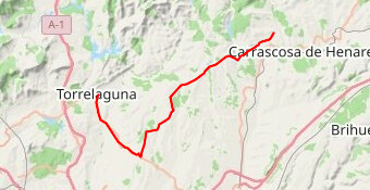 MGM VUELTA (C14) COGOLLUDO/TORRELAGUNA