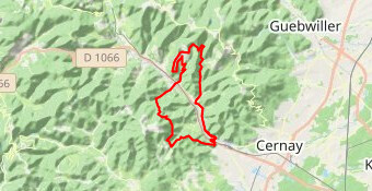Geishouse vers Staufen(Croix de Thann)