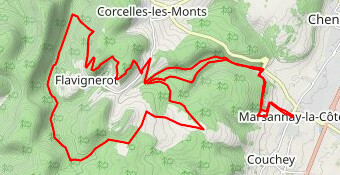 Trail des Vignes - 26 km UTCO