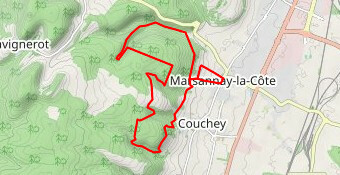 Trail de Marsannay - 15km