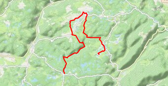 LaMer_apmidi_9062022