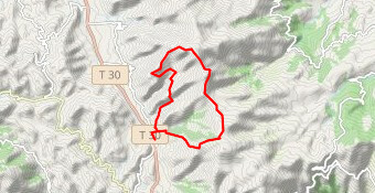 A Petralbinca 2022 21km