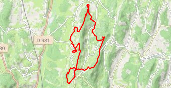 Trail du Mont St Romain 30km