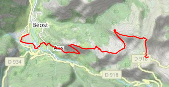 Aubisque version Trail