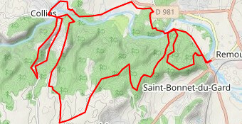 Puravida vtt rouge collias