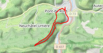 Jonquille Minouche Lomont