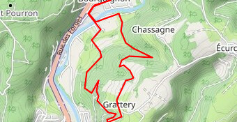 BourguiRun 2019 8 km