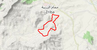 Zriba Night Trail 2022