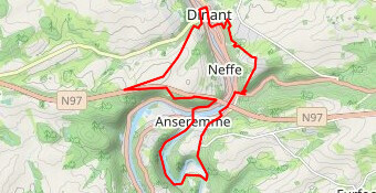 Anseremme_2020