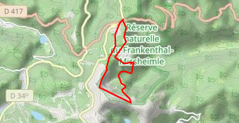 Selections Trail Vosges Academy 2020