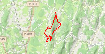 Trail du Mont St Romain 17km
