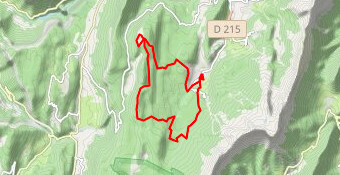 Trail "La Fleur du Roy" 24kms