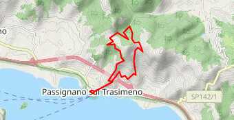 TrasiTrail_12k_20019