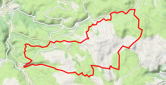 Trail 44km