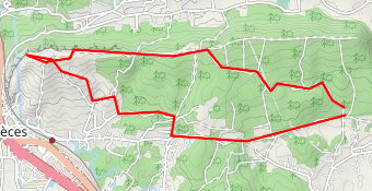 le Paty-ste Baudile-retour par Cantarelle