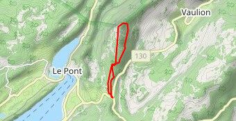 Petra Félix-Dent de Vaulion