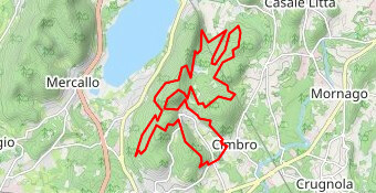 TTM Night Edition 21 Km