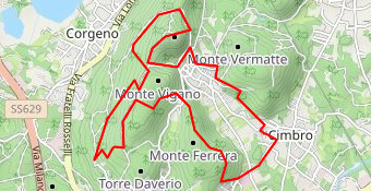 TTM Night Edition 11K