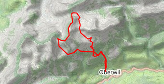 Grindelwald(0) - Widdersgring (Oberwil)