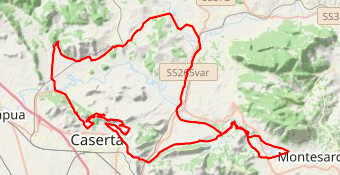 REALE BORBONICA CORTO 2022 vd.2
