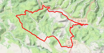 Trés petites pétale ouest pensée Espalionnaise 