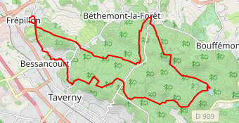 2011-11-13 LA FORET DE MONTMORENCY