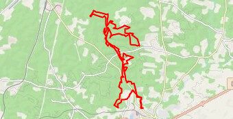 Rando vtt Tartas 2022