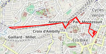 10km Foulées Annemassiennes 2éme tour