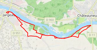 Les Foulées de Jargeau [20 km] 2022