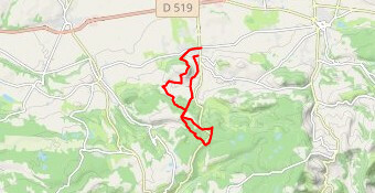 Randonnée pedestre toboggan 2024  16km D 383***