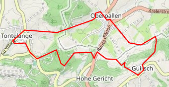 Transfrontalière Oberpallen