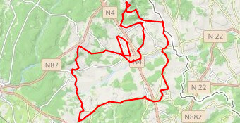 Circuit des arbres remarquables