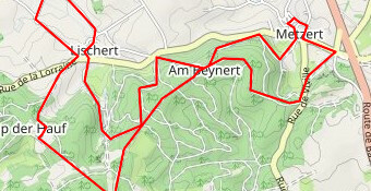 Balade sur la cuesta à Lischert