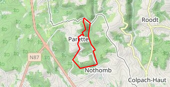 Nothomb au fil de l'eau