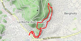 Promenade entre vigne et forêt