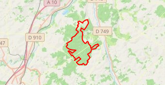 Marathon de la Forêt de Moulière