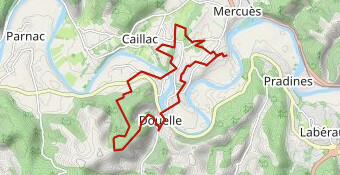 Randonnée 15km 2020