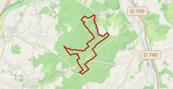 Trail de Moulière 2022_24 km